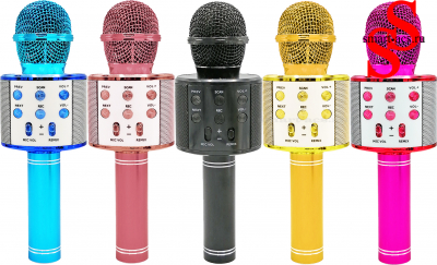 Микрофон WSTER WS-858